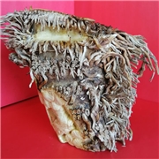 松鹤延年笔筒